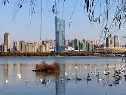 公司簡(jiǎn)介